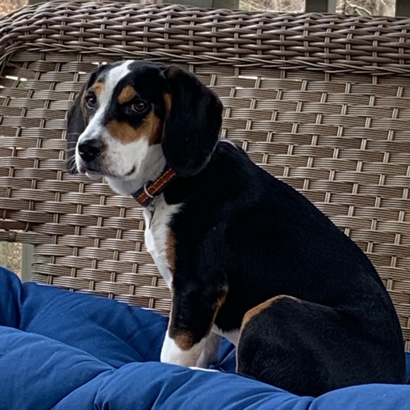 Meet your Posher, Kristie - Picture 6 of 16